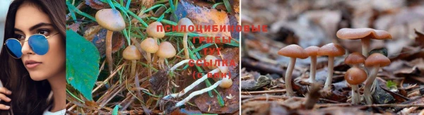 дживик Верея