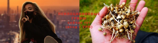соль ск Верхний Тагил