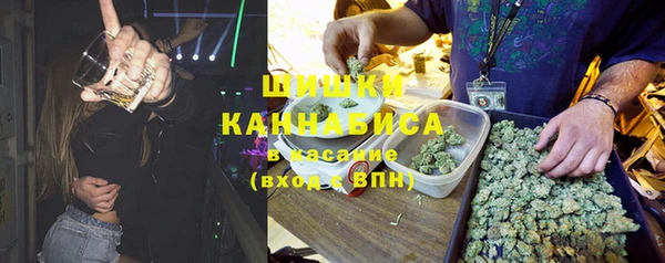 молекула духа Саяногорск