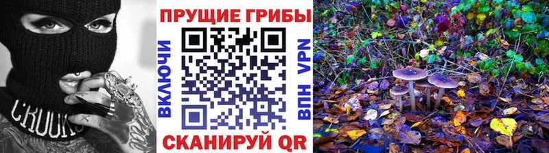 Галлюциногенные грибы Magic Shrooms  Губкинский 