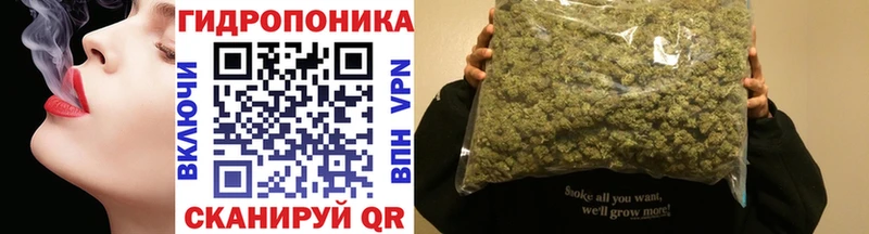 Бошки марихуана конопля Губкинский